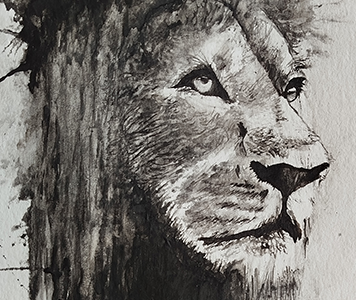 Not Just Animals — Série par Jérémy MORIN